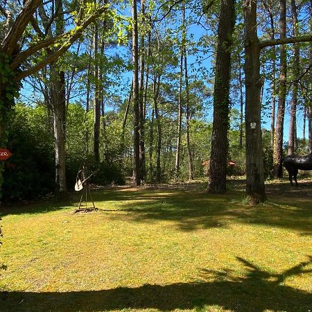 Le Petit Poulailler Au Beau Milieu Des Pins Villa ลากาโน ภายนอก รูปภาพ