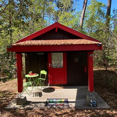 Le Petit Poulailler Au Beau Milieu Des Pins Villa ลากาโน ภายนอก รูปภาพ