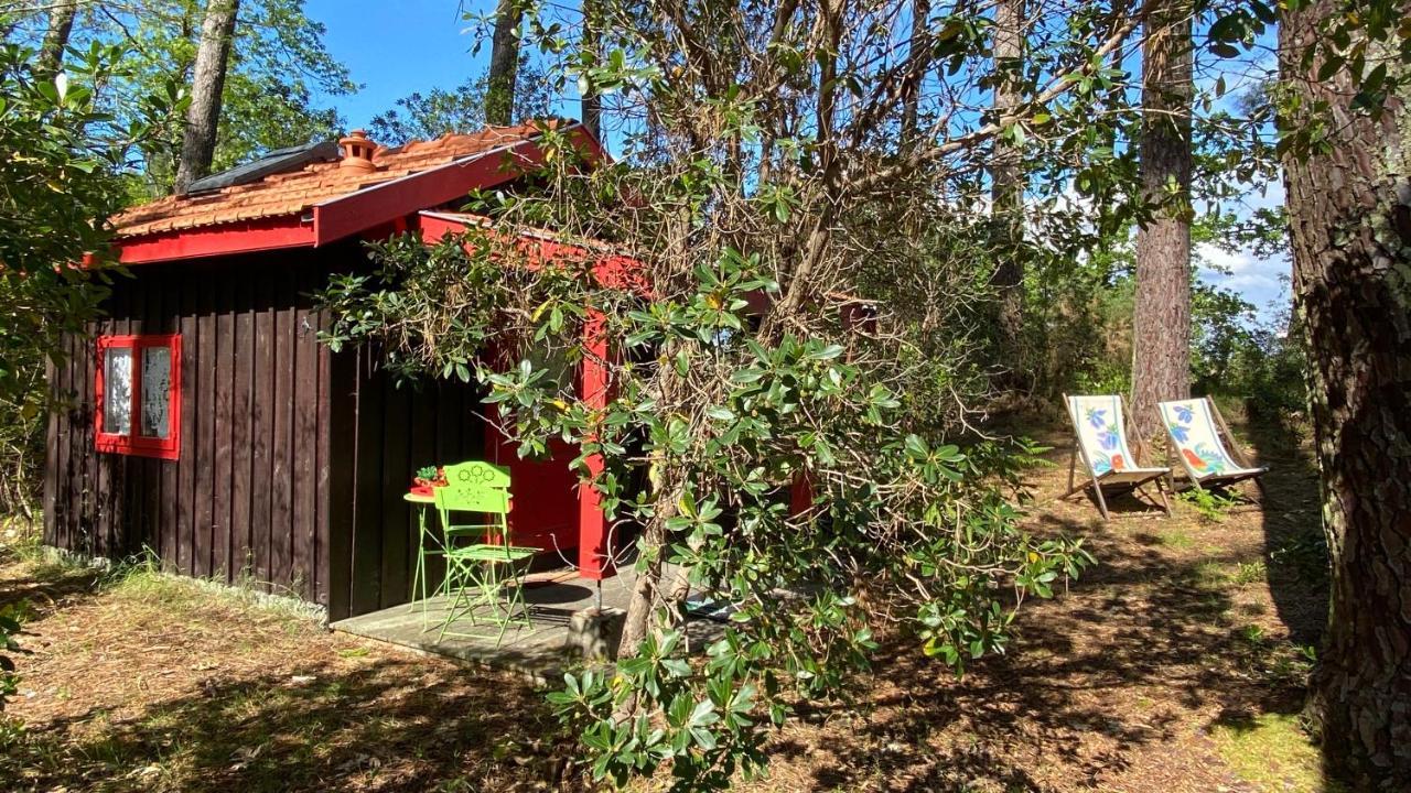 Le Petit Poulailler Au Beau Milieu Des Pins Villa ลากาโน ภายนอก รูปภาพ