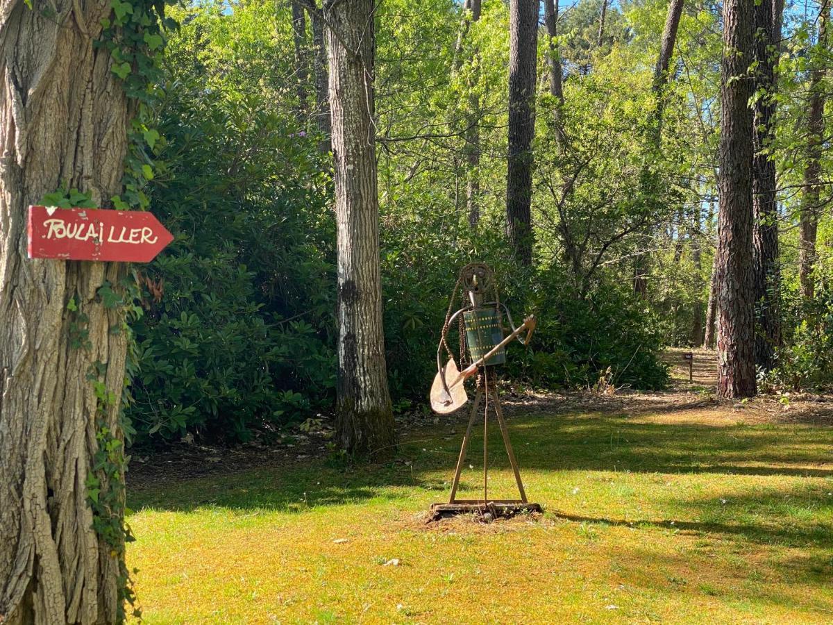 Le Petit Poulailler Au Beau Milieu Des Pins Villa ลากาโน ภายนอก รูปภาพ
