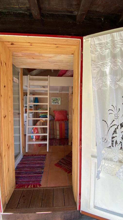 Le Petit Poulailler Au Beau Milieu Des Pins Villa ลากาโน ภายนอก รูปภาพ