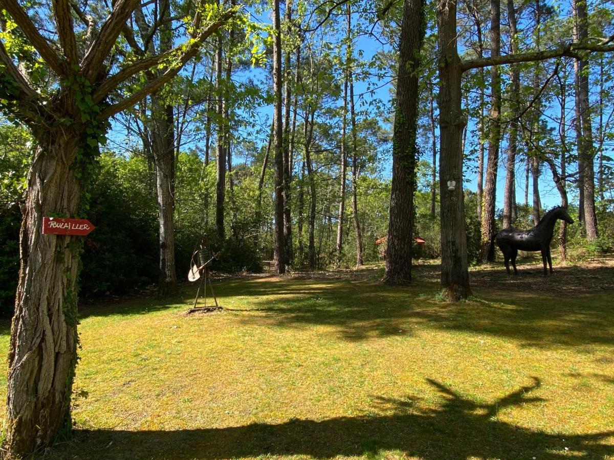 Le Petit Poulailler Au Beau Milieu Des Pins Villa ลากาโน ภายนอก รูปภาพ