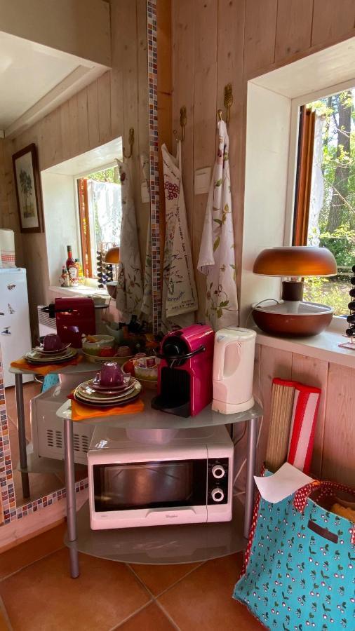 Le Petit Poulailler Au Beau Milieu Des Pins Villa ลากาโน ภายนอก รูปภาพ
