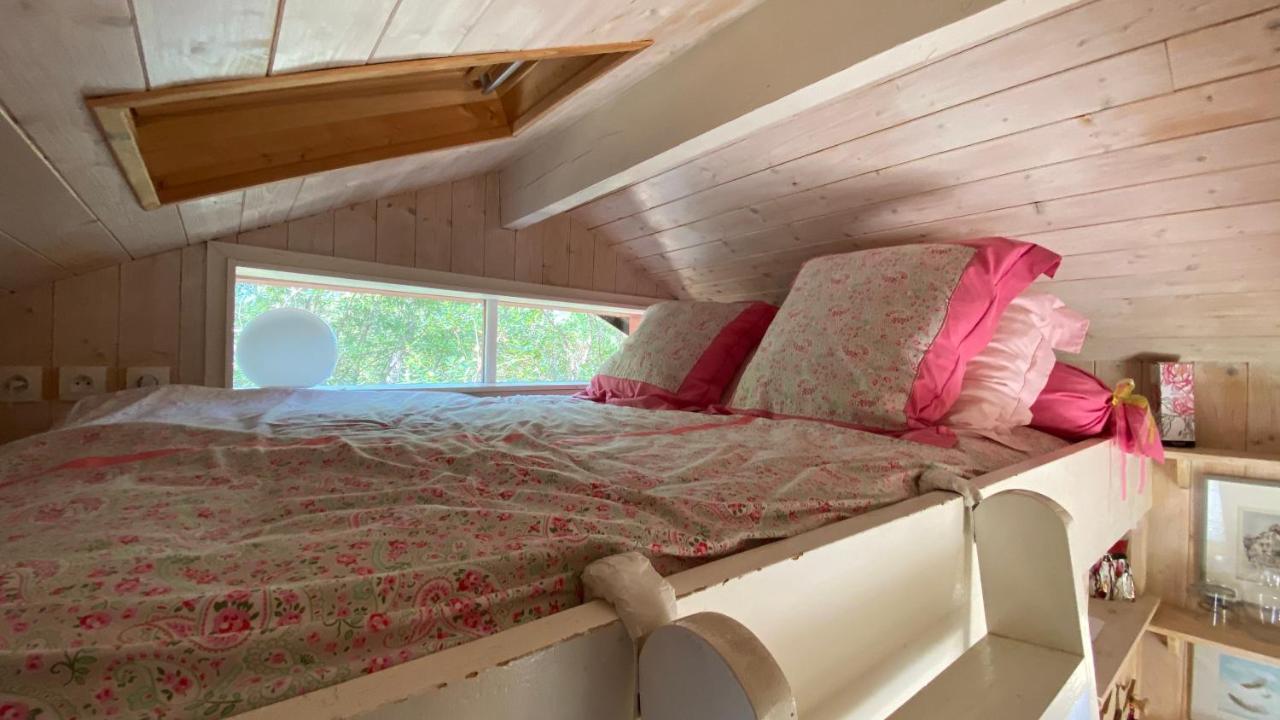 Le Petit Poulailler Au Beau Milieu Des Pins Villa ลากาโน ภายนอก รูปภาพ