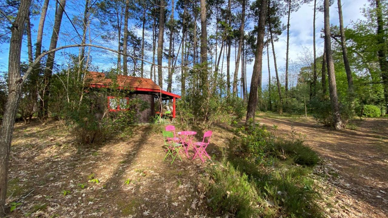 Le Petit Poulailler Au Beau Milieu Des Pins Villa ลากาโน ภายนอก รูปภาพ