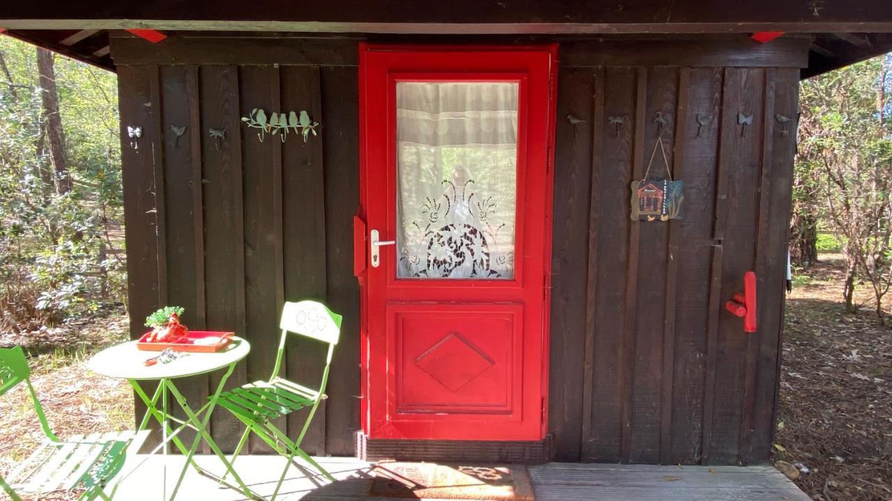 Le Petit Poulailler Au Beau Milieu Des Pins Villa ลากาโน ภายนอก รูปภาพ
